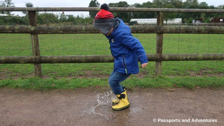 Cefn Mably Farm Park With Kids - A great family day out in South Wales.