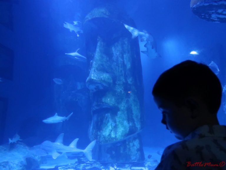Visiting Sea Life London With Kids and How To Have an Awesome Visit
