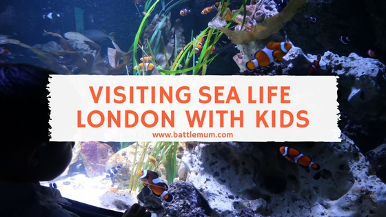 Visiting Sea Life London With Kids and How To Have an Awesome Visit