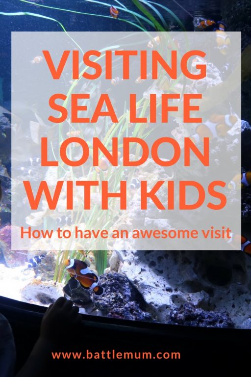 Visiting Sea Life London With Kids and How To Have an Awesome Visit. With hints and tips to make your visit an awesome one. 