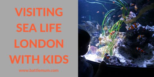 Visiting Sea Life London With Kids and How To Have an Awesome Visit