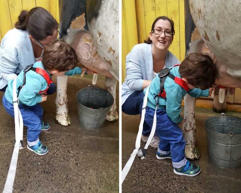 Mum and son milking a model cow at Folly Farm