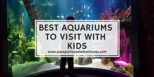 The Best Aquariums To Visit With Kids Around The World