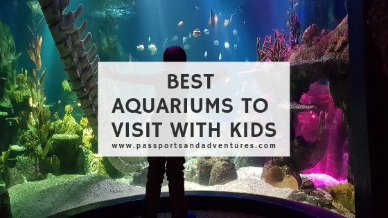 Best Aquariums To Visit With Kids