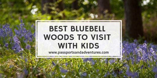 Best Bluebell Woods To Visit With Kids