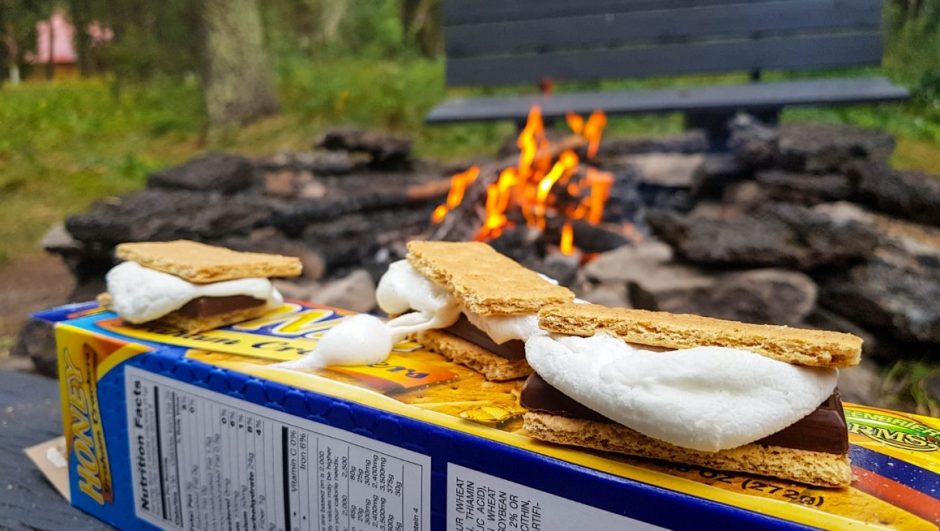 Visiting Yellowstone With Kids The Ultimate How To Guide