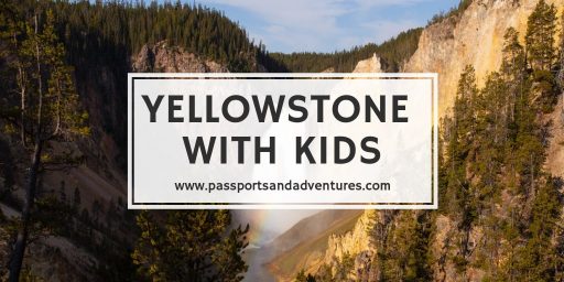 Yellowstone With Kids - A Complete Guide to Visiting the National Park With Kids