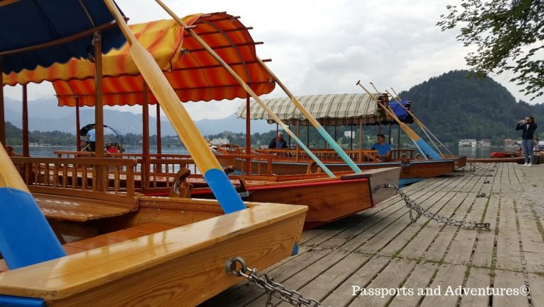 The traditional plenta boats lined up on the banks of Lake Bled