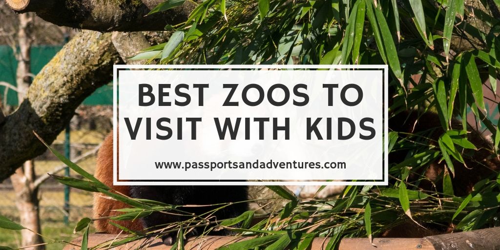 Best Zoos To Visit With Kids In The World