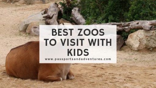 Best Zoos to Visit with Kids in the World