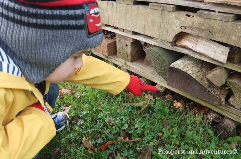 A little boy in a yellowst coat and red gloves and hat doing at toadstools on the ground underneath some logs.