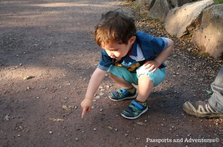 A little bot in blue t-shirt and blue shorts pointing at a tiny frog on a dirt footpath in Bluestone, Wales.