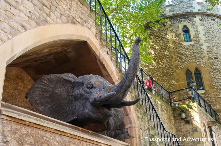 An elephant head model poking out of a wall in homage to the menagerie at the Tower of London