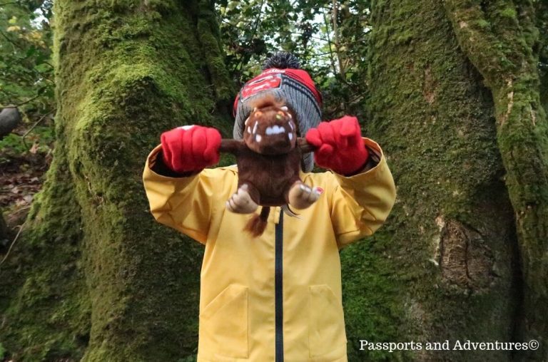 A little boy in a yellow raincoat and red gloves and hat holding a Gruffalo teddy in front of him in a forest