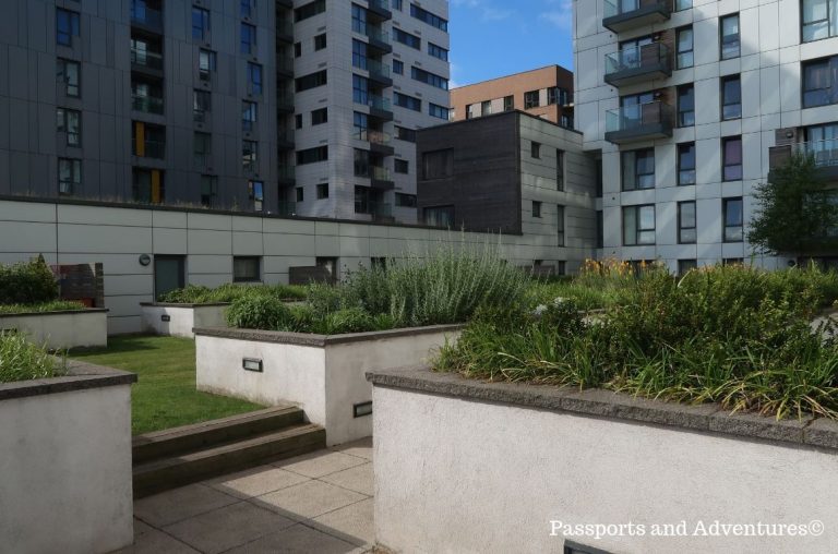 A picture of some roof gardens surrounded by apartment buildings in London