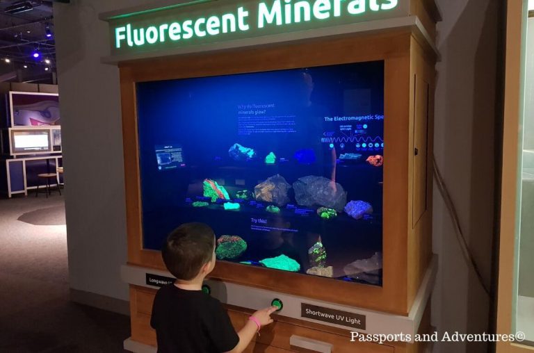 A young child at a Fluorescent Minerals display in the Oregon science museum, Portland