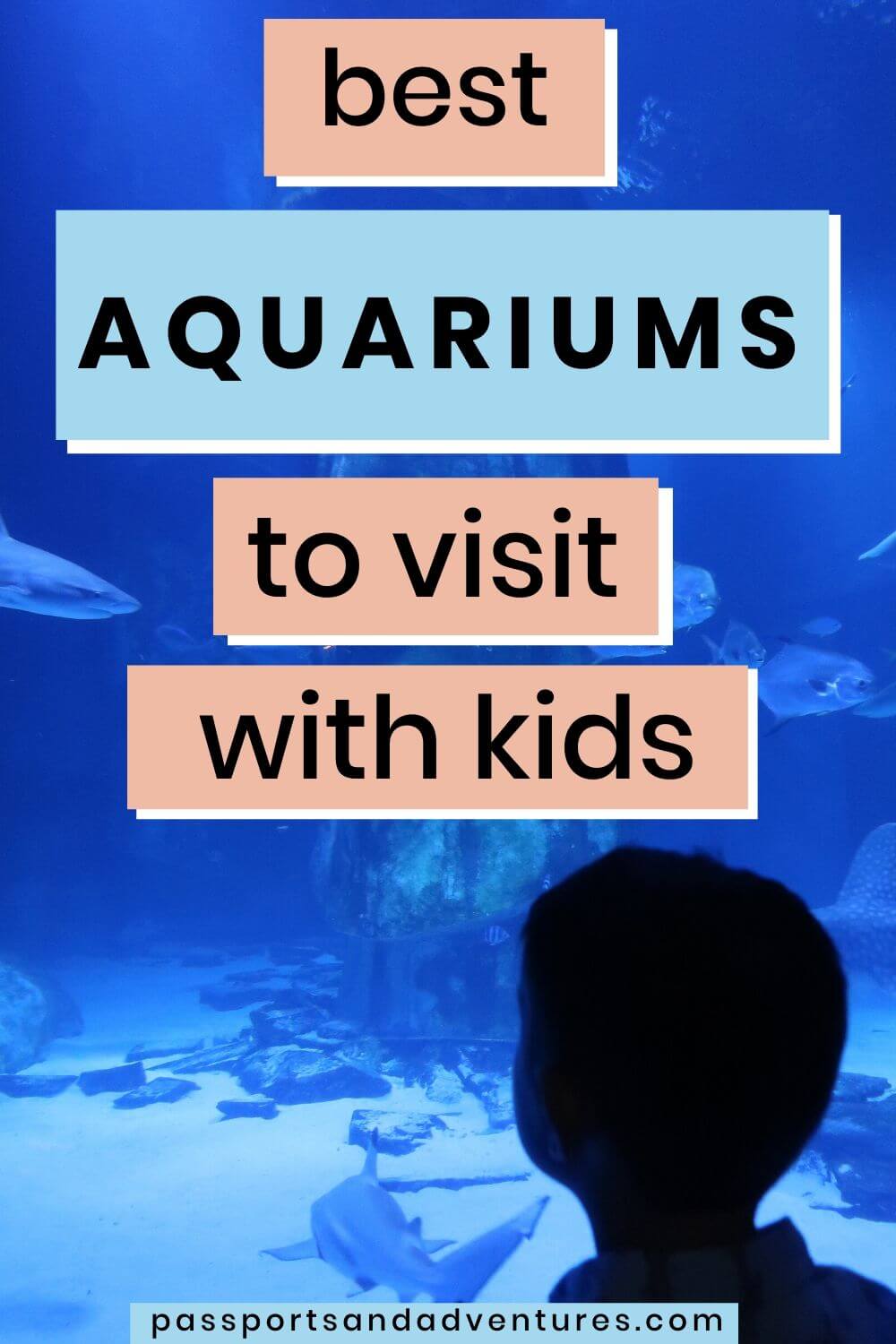 The Best Aquariums To Visit With Kids Around The World