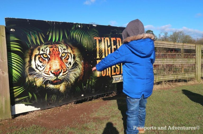 WATCH: Fota Wildlife Park welcomes rare monkeys to Asian Sanctuary