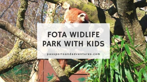 An Awesome Day Out at Fota Wildlife Park: Review