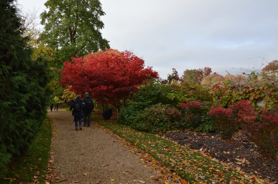 15 Best Cities in the UK to Visit With Kids