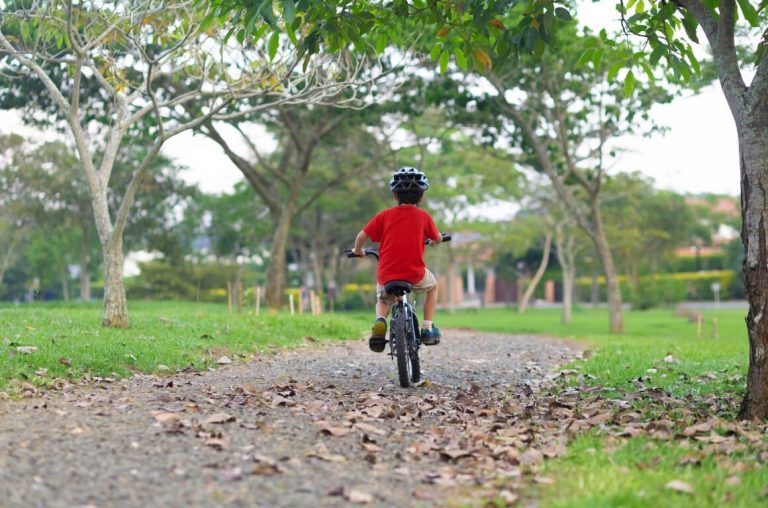 A young boy on a bicycle cycling through a park with trees and grass around him