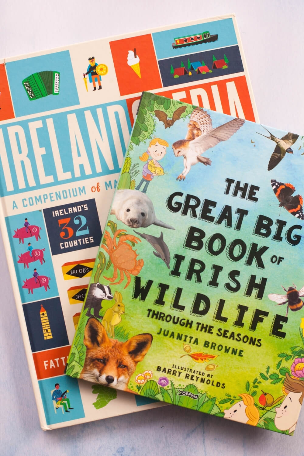 Best Books about Ireland for Kids