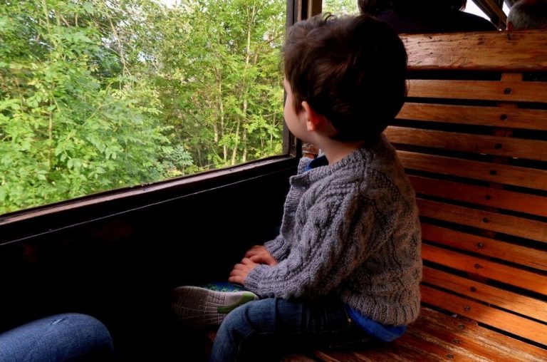 A picture of a young boy sitting in a carriage on the Brecon Mountain Railway